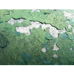 Zdjęcia użytkowników Samsung GT-M8800 Zdjęcia użytkowników Samsung GT-M8800