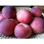 Zdjęcia użytkowników Samsung GT-M8800 Zdjęcia użytkowników Samsung GT-M8800