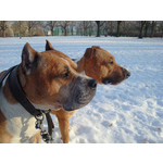 Zdjęcia użytkowników Samsung GT-M8910 Pixon12