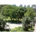 Zdjęcia użytkowników Samsung GT-S3600