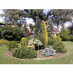 Zdjęcia użytkowników Samsung GT-S5230