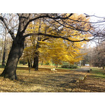 Zdjęcia użytkowników Samsung GT-S5230