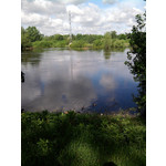 Zdjęcia użytkowników Samsung GT-S5230