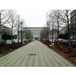 Zdjęcia użytkowników Samsung GT-S5230