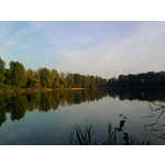 Zdjęcia użytkowników Samsung GT-S5230