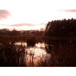 Zdjęcia użytkowników Samsung GT-S5230