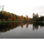 Zdjęcia użytkowników Samsung GT-S5230