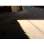 Zdjęcia użytkowników Samsung GT-S5230