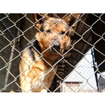 Zdjęcia użytkowników Samsung GT-S5230