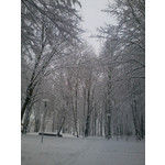 Zdjęcia użytkowników Samsung GT-S5360 Galaxy Y