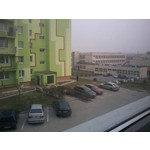 Zdjęcia użytkowników Samsung GT-S5380 Wave Y