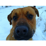 Zdjęcia użytkowników Samsung GT-S5610