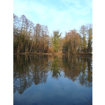 Zdjęcia użytkowników Samsung GT-S5610