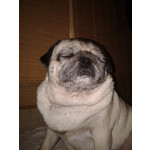 Zdjęcia użytkowników Samsung GT-S5610