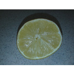 Zdjęcia użytkowników Samsung GT-S5610