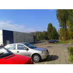 ZDJĘCIA Z TEGO TELEFONU