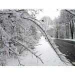 Zdjęcia użytkowników Samsung GT-S7330 Zdjęcia użytkowników Samsung GT-S7330