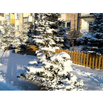 Zdjęcia użytkowników Samsung GT-S7330 Zdjęcia użytkowników Samsung GT-S7330