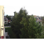 ZDJĘCIA Z TEGO TELEFONU