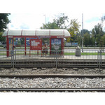 Zdjęcia użytkowników Samsung GT-S7560 Zdjęcia użytkowników Samsung GT-S7560