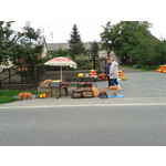 Zdjęcia użytkowników Samsung GT-S7560 Zdjęcia użytkowników Samsung GT-S7560