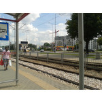 Zdjęcia użytkowników Samsung GT-S7560 Zdjęcia użytkowników Samsung GT-S7560