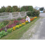 Zdjęcia użytkowników Samsung GT-S7560 Zdjęcia użytkowników Samsung GT-S7560