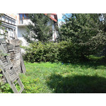 Zdjęcia użytkowników Samsung GT-S7560 Zdjęcia użytkowników Samsung GT-S7560