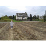 Zdjęcia użytkowników Samsung GT-S7560 Zdjęcia użytkowników Samsung GT-S7560