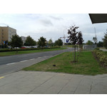 Zdjęcia użytkowników Samsung GT-S7560 Zdjęcia użytkowników Samsung GT-S7560