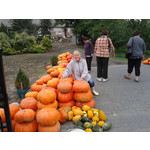 Zdjęcia użytkowników Samsung GT-S7560 Zdjęcia użytkowników Samsung GT-S7560