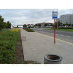 Zdjęcia użytkowników Samsung GT-S7560 Zdjęcia użytkowników Samsung GT-S7560