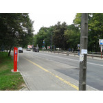 Zdjęcia użytkowników Samsung GT-S7560 Zdjęcia użytkowników Samsung GT-S7560