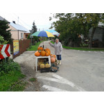 Zdjęcia użytkowników Samsung GT-S7560 Zdjęcia użytkowników Samsung GT-S7560