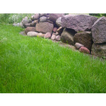 ZDJĘCIA Z TEGO TELEFONU