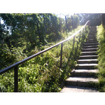 ZDJĘCIA Z TEGO TELEFONU