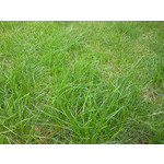 Zdjęcia użytkowników Samsung GT-S8000 Cubic