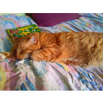 Zdjęcia użytkowników Samsung GT-S8300 Zdjęcia użytkowników Samsung GT-S8300