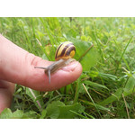 Zdjęcia użytkowników Samsung GT-S8300 Zdjęcia użytkowników Samsung GT-S8300