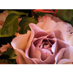 Zdjęcia użytkowników Samsung GT-S8300 Zdjęcia użytkowników Samsung GT-S8300