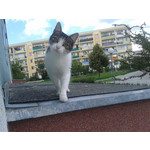 Zdjęcia użytkowników Samsung GT-S8600 Wave 3