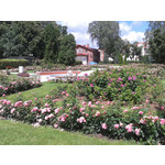 Zdjęcia użytkowników Samsung GT-S8600 Wave 3