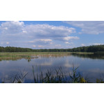 Zdjęcia użytkowników Samsung GT-S8600 Wave 3