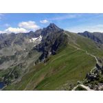 ZDJĘCIA Z TEGO TELEFONU