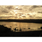 ZDJĘCIA Z TEGO TELEFONU