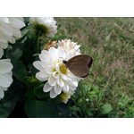 ZDJĘCIA Z TEGO TELEFONU