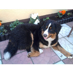 ZDJĘCIA Z TEGO TELEFONU