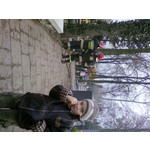Zdjęcia użytkowników Samsung SGH-D780