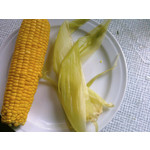 Zdjęcia użytkowników Samsung SGH-D900i Zdjęcia użytkowników Samsung SGH-D900i