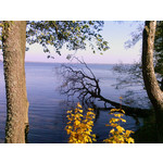 Zdjęcia użytkowników Samsung SGH-D900i Zdjęcia użytkowników Samsung SGH-D900i